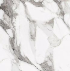 Les Origines de Rex Argent Matte 60x60 9mm płytka imitująca marmur wz&oacute;r 1