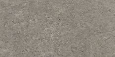Moon Ash Natural 50x100 płytki imitujące kamień