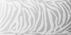 Golden Zebra White Plata Brillo 60x120 płytka dekoracyjna