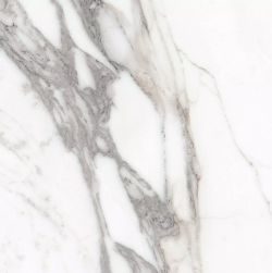 Les Origines de Rex Argent Matte 60x60 9mm płytka imitująca marmur wz&oacute;r 3