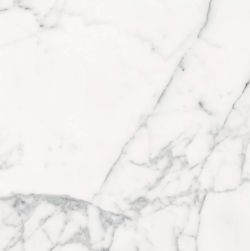 Les Origines de Rex Blanc Matte 60x60 9mm płytka imitująca marmur wz&oacute;r 1