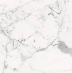 Les Origines de Rex Blanc Matte 60x60 9mm płytka imitująca marmur wz&oacute;r 2