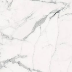 Les Origines de Rex Blanc Matte 60x60 9mm płytka imitująca marmur wz&oacute;r 4