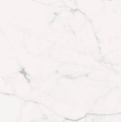 Les Origines de Rex Blanc Matte 60x60 9mm płytka imitująca marmur wz&oacute;r 5