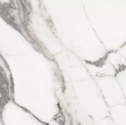 Les Origines de Rex Argent Glossy 60x60 9mm płytka imitująca marmur wz&oacute;r 3