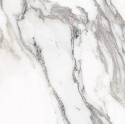 Les Origines de Rex Argent Glossy 60x60 9mm płytka imitująca marmur wz&oacute;r 4