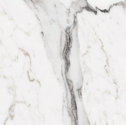 Les Origines de Rex Argent Glossy 60x60 9mm płytka imitująca marmur wz&oacute;r 2