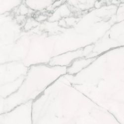 Les Origines de Rex Blanc Glossy 60x60 9mm płytka imitująca marmur wz&oacute;r 1