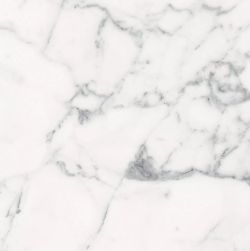 Les Origines de Rex Blanc Glossy 60x60 9mm płytka imitująca marmur wz&oacute;r 4