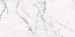 Les Origines de Rex Blanc Matte 60x120 9mm płytka imitująca marmur wz&oacute;r 1