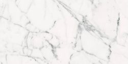 Les Origines de Rex Blanc Matte 60x120 9mm płytka imitująca marmur wz&oacute;r 3
