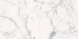 Les Origines de Rex Blanc Matte 60x120 9mm płytka imitująca marmur wz&oacute;r 4