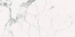 Les Origines de Rex Blanc Matte 60x120 9mm płytka imitująca marmur wz&oacute;r 5
