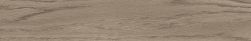 Ape Alba 02 Aureo 10x60 gres drewnopodobny