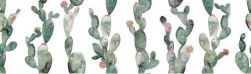 Glimpse Cactus Ornato 29,75x99,55