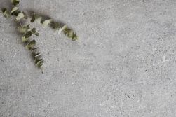 Szara płytka betonowa lastryko Manhattan Silver z gałązką liści