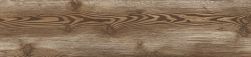 gres drewnopodbny 25x100 na taras i do salonu łazienkiAparici Neila Oak Natural 24,9x100