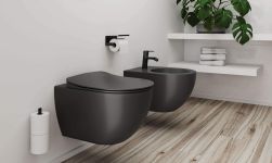 biała łazienka z drewnianą podłogą, czarna toaleta i bidet, rośłina ozdobna na półce, czarna bateria bidetowa stojąca Arnika