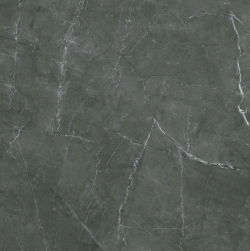 1 Tekali Gris 120x120 płytka imitująca kamień