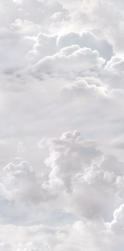 PAPER41 PRO &ndash; AZZURRA A 50x100