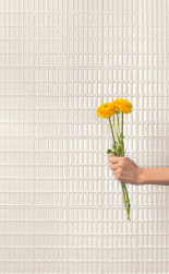 Na tle ściany w ręce trzymany kwiat, ściana wyłożona płytkami Superclassica SCW Waffle Bianco 12,5x25 płytki dekoracyjne