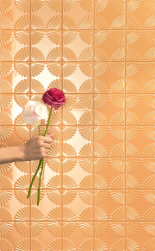 Na tle ściany w ręce trzymane kwiaty, ściana wyłożona płytkami Superclassica SCW Bloom Mandarino 12,5x12,5 płytki dekoracyjne