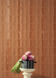 Ściana wyłożona matowymi brązowymi cegiełkami i Mou Carmel Glossy 6,2x12,5 dekoracyjna płytka ścienna
