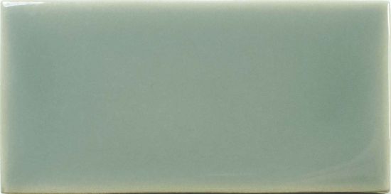 Fayenza Fern Gloss 6,2x12,5 cegiełka ścienna