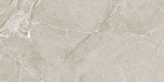Ape Colemanite Stone Grey Rect 60x120 płytka imitująca marmur