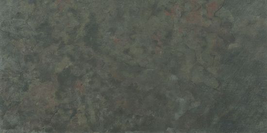 Slate Moss Natural 50x100 płytki podłogowe